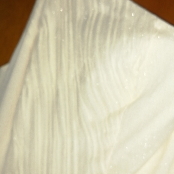 Halston Cream Gown - Picture 7 of 9